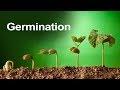 Plant Germination and Growth Concepts