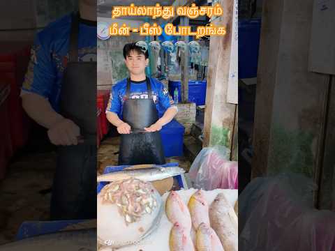 இதுதான் உங்க பீஸ் யா டா 😆😆 #thailandfish #fishmarket #sea #tamilmominpattaya #pattayacouplevlog