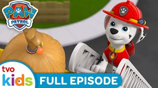 Pups Save the Eddies and Emmys 🚒 | 🐾 PAW PATROL 🐶 | Full Episodes ⛑️ | Season 9 | TVOkids