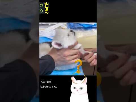 자동차 후진하는 소리