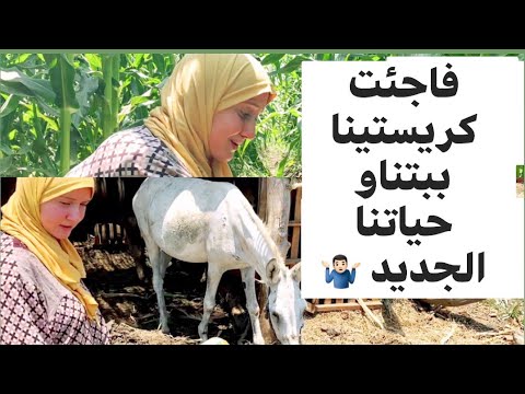 سافرنا  المنوفيه 👜🧳 وقضينا يوم فى غيطان بلدنا 🌿🌿🌿