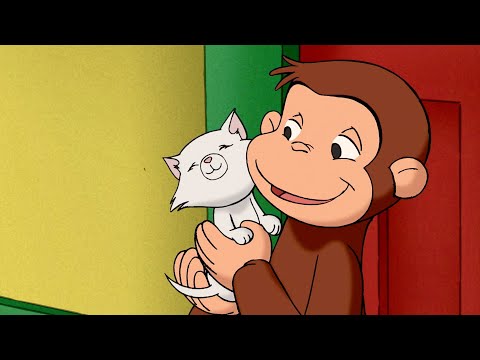 A Febre dos Gatinhos do George! 🐵 George, o Curioso 🐵 Desenhos Animados