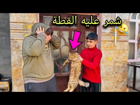 شباوي شمر البزونة على علاوي سمين وخرمشته💔😥مقلب لايفوتك!!