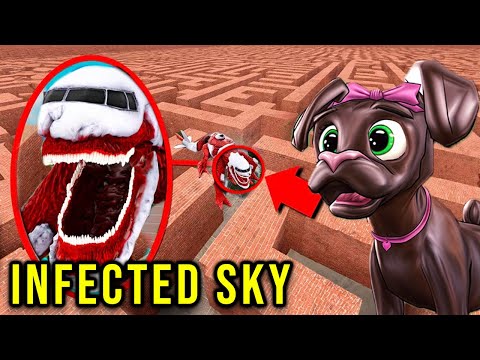 Can INFECTED SKY Find ME in a Maze?.. (*Gmod Sandbox*)