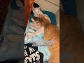 Cheeto and Melo's Co-Parenting Journey