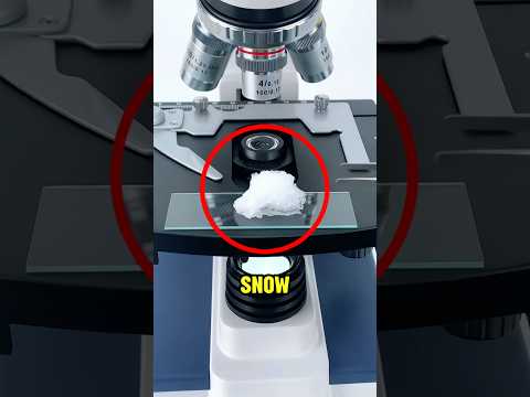 Putting Snow Under a Microscope and This Happened‼️🤯