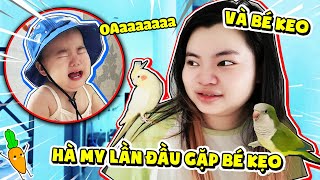 HÀ MY LẦN ĐẦU GẶP BÉ KẸO VÀ BÉ KEO TẠI NHÀ MỚI KAMUI