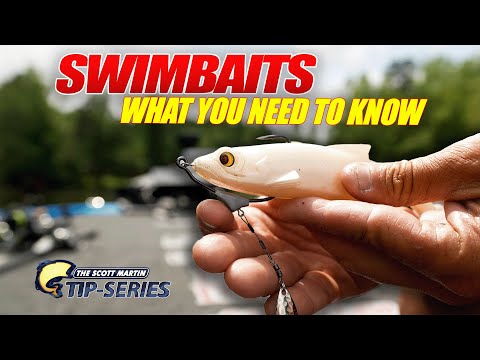 Catch MORE BIG FISH with these Swimbait Tips!