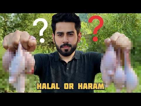 Ye Humne Kya KHA Liya Eid Ke Baad 😱