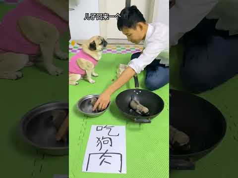猜中救儿子，有我在你休想得逞。#萌宠出道计划 #萌宠 #萌宠出道计划 #萌宠日常记录 #萌宠日常记录