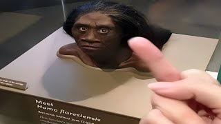 OFFENSIVE MEMES THAT YLYL V1042