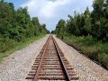 Identifying Transportation Modes Using Images