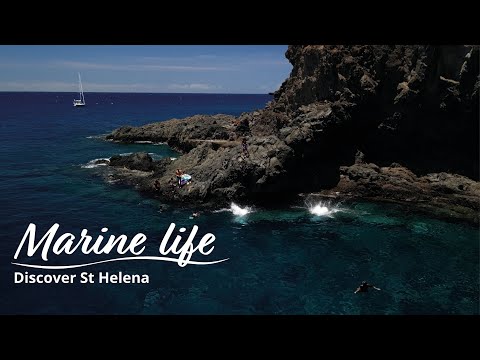 St Helena: Island life and ocean connection