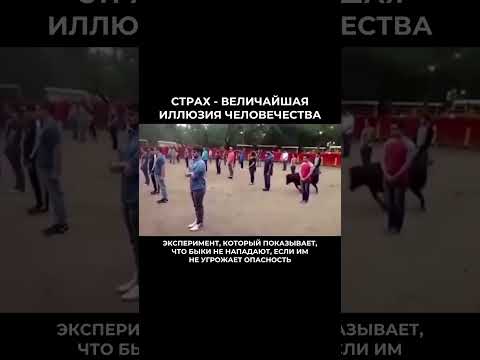 Подписывайся, чтобы выйти из иллюзий и тревог🫶