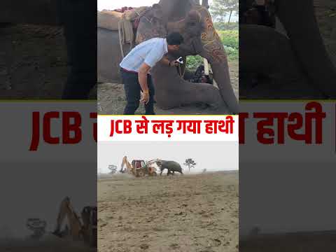 जेसीबी से लड़ गईहाथी