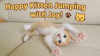 Happy Kitten Jumping with Joy! 🐾😺
