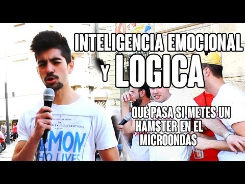 HAMSTER Y MICROONDAS | Preguntas en Granada