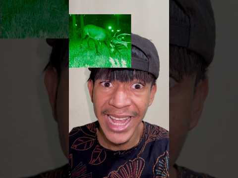 EU DEIXEI UMA CÂMERA GRAVANDO A NOITE EM UMA FLORESTA@LIGHTSAREOFF