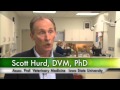 Livestock Practices and Public Health