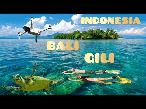 Traveling around the world: fly and swim in Bali and Gili Islands - 4K by Yuri Grisendi