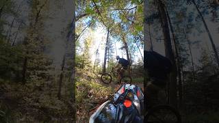 Canadian Trail MTB Freiburg - Sundowner downhill session