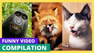 Try Not To Laugh 😆 At These Hilarious Funny Videos Compilation part-2 😂😁 Memes #funny #fails #laugh