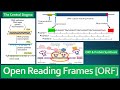 Molecular Biology: ORFs and Translation