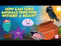 Brainless Creatures and Their Adaptations