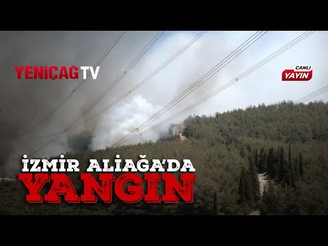 İzmir'in Aliağa ilçesinde yangın