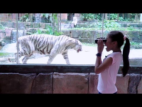 Main Ke Kebun Binatang Malaysia - Sunway Lagoon Part#1