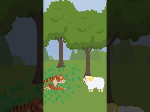 Bhagh Aur Bhed | The Jungle Story | Cartoon | #cartoonstories  #cartoon #junglemoralstories