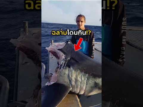 ตัวอะไรที่ใหญ่กว่า?