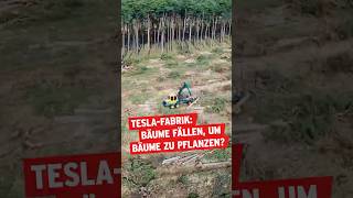Zugepflastert – Wie retten wir unsere Städte vor dem Hitzekollaps? | ARD Story | #shorts