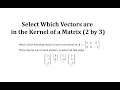 Understanding the Kernel of a Matrix