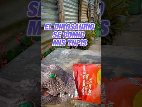 Hoy jugamos junto con mi abuelita