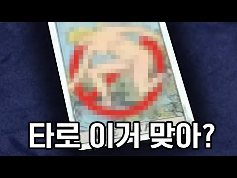 2025 신년 타로 절망편