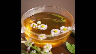 Discover Pure Herbal Wellness | Natural Infusions by Sancha Tea