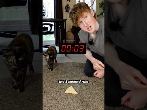 Is The 5 Second Rule Actually Real?