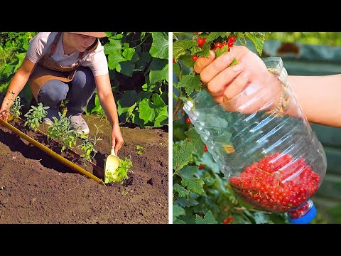 AWESOME Gardening Tools For Growing Amazing Plants!