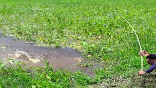 Fishing Video || If you learn fishing from village boy, you will be able to catch fish very easily.