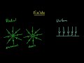 Gravitational and Electric Fields Concepts