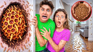 I Found a Massive INFESTATION Inside My House!