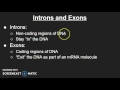 Alternative Splicing and mRNA Functions