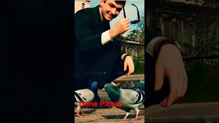 The Sad Truth Behind 'It Hurts to Be in Love' #popmusic #60hits  #music #classicrock #rock
