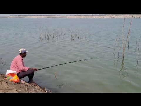 unique Fishing 🎣 In indian River FLOAT FISHING to Krishna River Single Hook Big Rohu Fishes