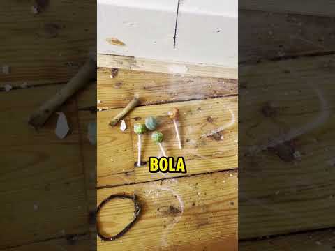 Menemukan Ruangan Rahasia!