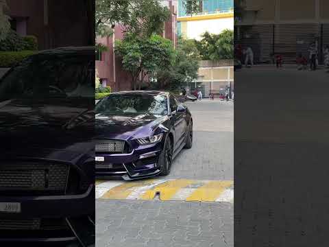 Mustang😈 or Lamborghini 🥵🔥
