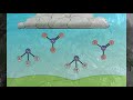Exploring the Nitrogen Cycle and Its Impact on Life