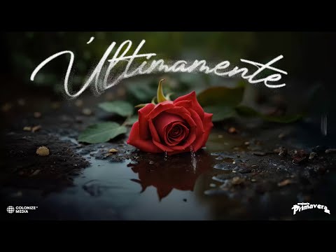 Conjunto Primavera - Ultimamente (Visualizer)