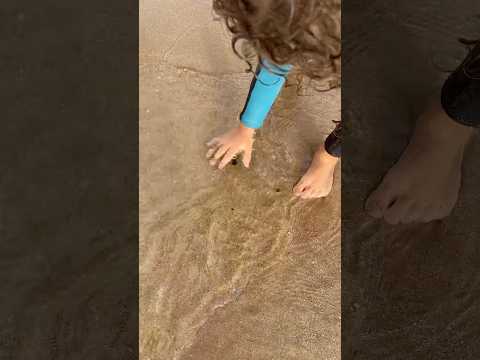 تعلم تجمع لعكريش مع اصغر بنت كتجمع الطعم 😁🦀🦀